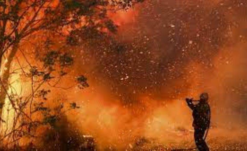 Meksika'da orman yangını çıktı! 400'den fazla kişi yerinden edildi