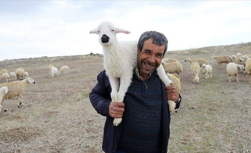 Engelli çoban hibe desteğiyle sürü sahibi oldu
