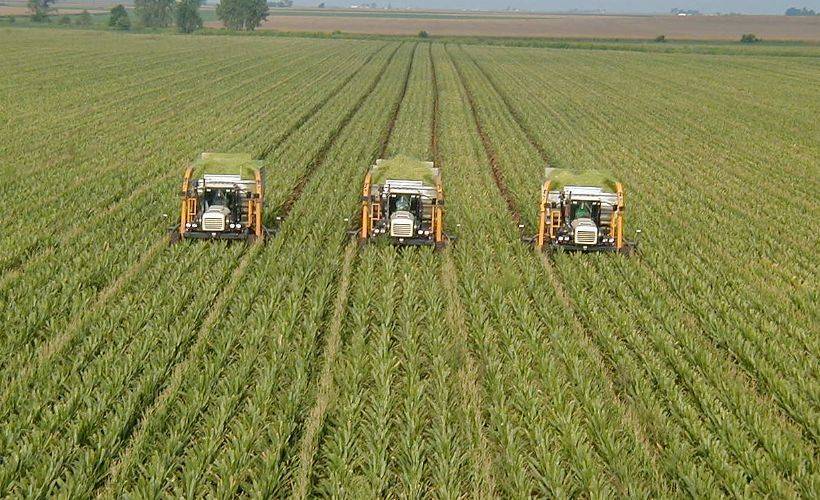 Mazot ve gübre desteği yarından itibaren ödenmeye başlanacak