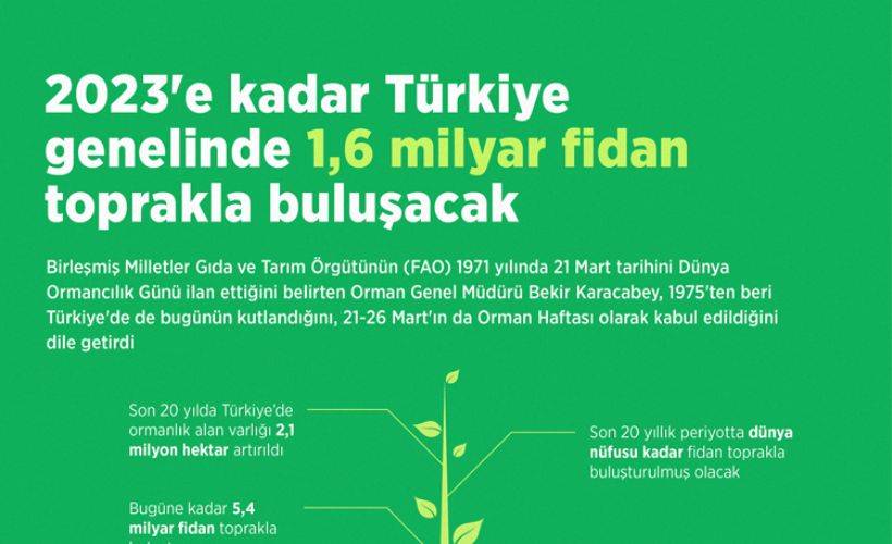 2023'e kadar Türkiye genelinde 1,6 milyar fidan toprakla buluşacak