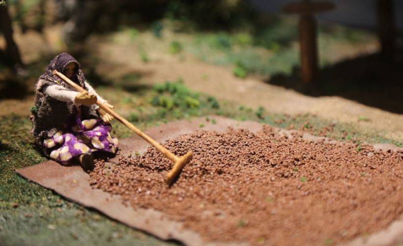 'Fındığın Öyküsü Müzesi' açıldı