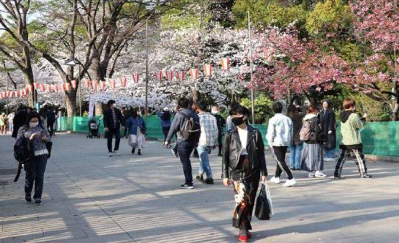 Japonya'dan yeni dalga paniği