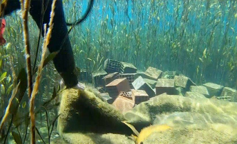 Doğal su kaynaklarından Kırkgöz'de su altı temizliği yapıldı