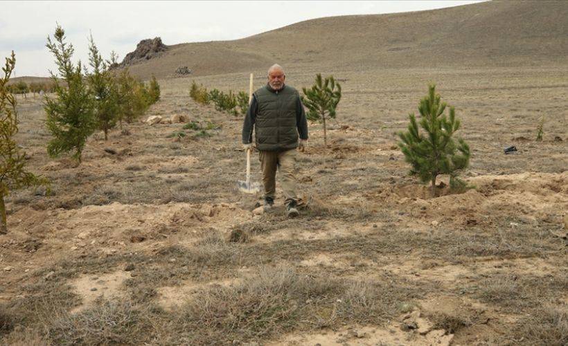 7 yılda tek başına 10 bin fidanlık orman yaptı!