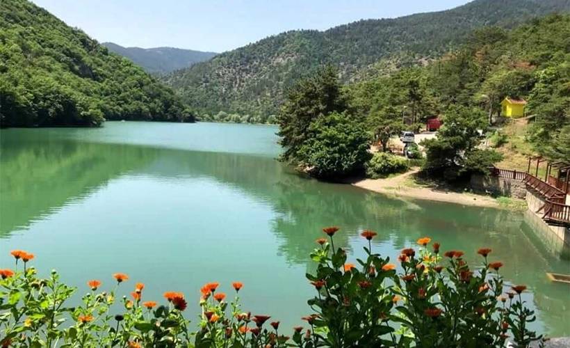 Salgın mavi ve yeşile ilgimizi engelleyemedi