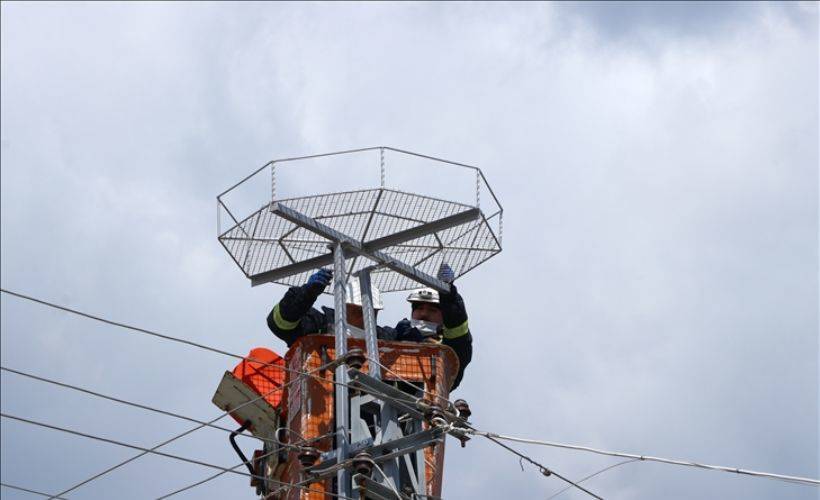Leyleklerin akıma kapılmaması için elektrik direklerine özel platform
