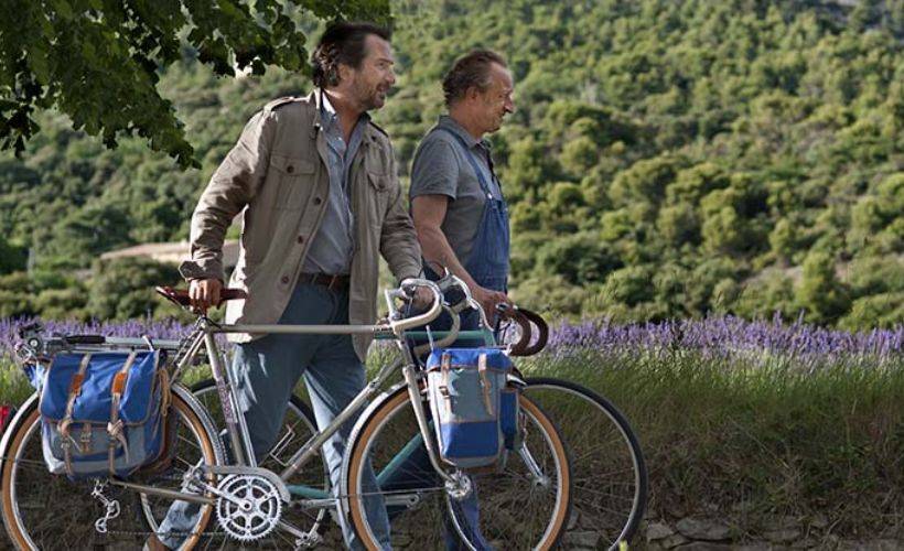 Bisiklet Sürmesini Bilmeyen Bisikletçi