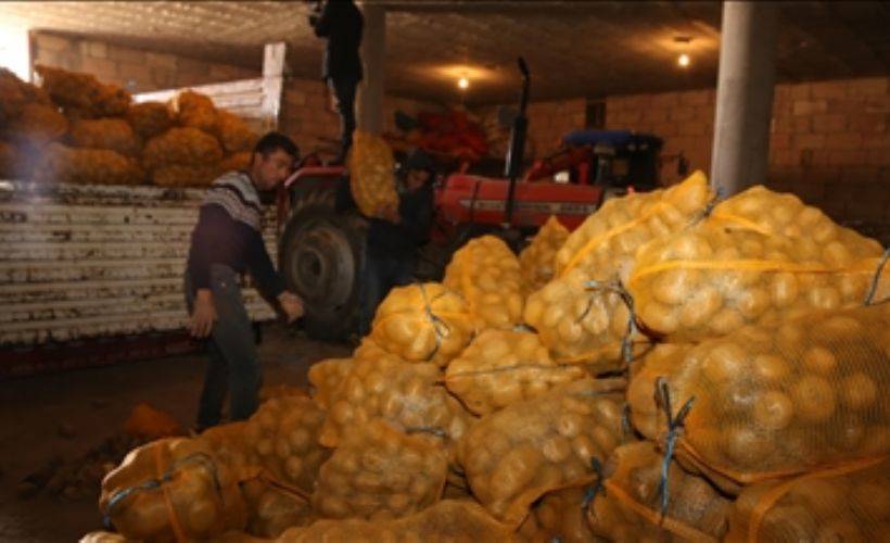 Depoda kalan patates TMO tarafından satın alındı