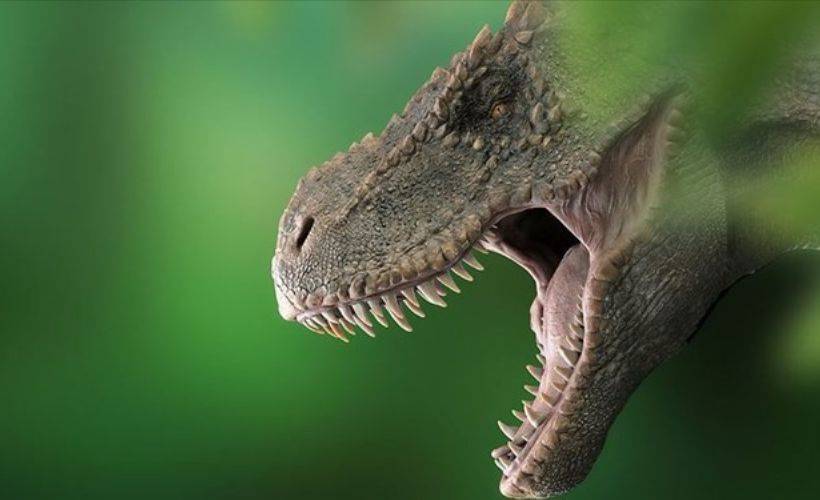 Dinozor araştırması: 2 milyon yıl boyunca 2,5 milyar T-rex yaşadı