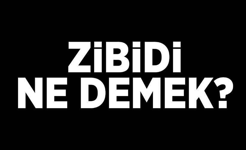 zibidi ne demek zibidi demek hakaret mi zibidi tdk anlami nedir timeturk haber
