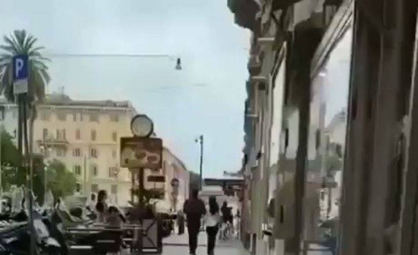 Canlı fare yiyen martı görenleri şaşırttı