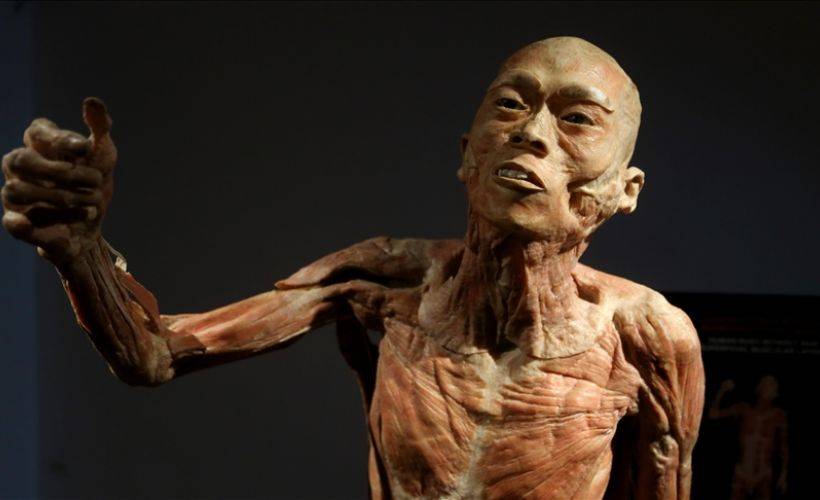 İnsan vücudunun işleyişini anlatan sergiden görüntüler