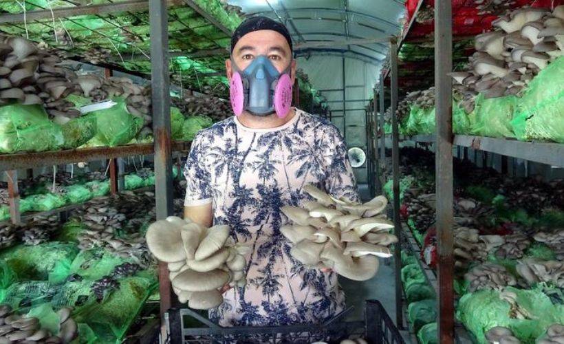 Emekli astsubay hobi olarak başladı! Yılda 40 ton üretiyor, Türkiye'nin her yanına gönderiyor