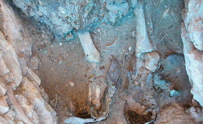 'Balatlar' kazısı son yılların en önemli keşfi