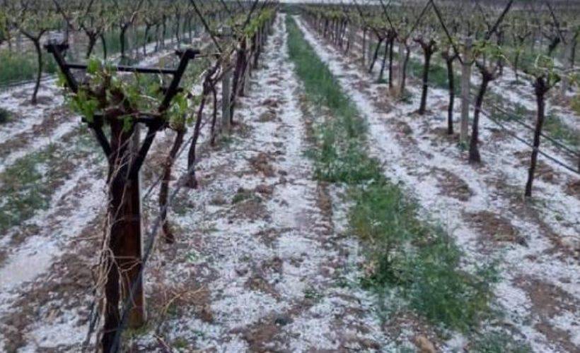Denizli'de dolu yağışı tarım arazilerine zarar verdi
