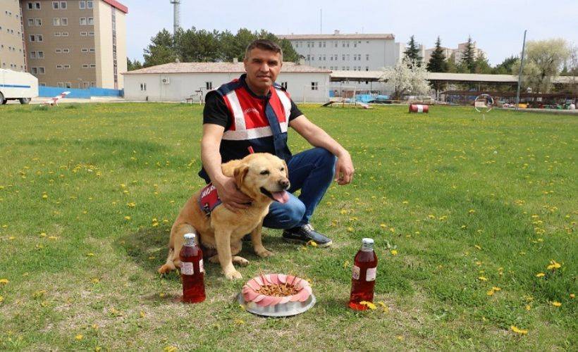 178 operasyonda görev yapan iz takip köpeği 'Hisar' artık emekli