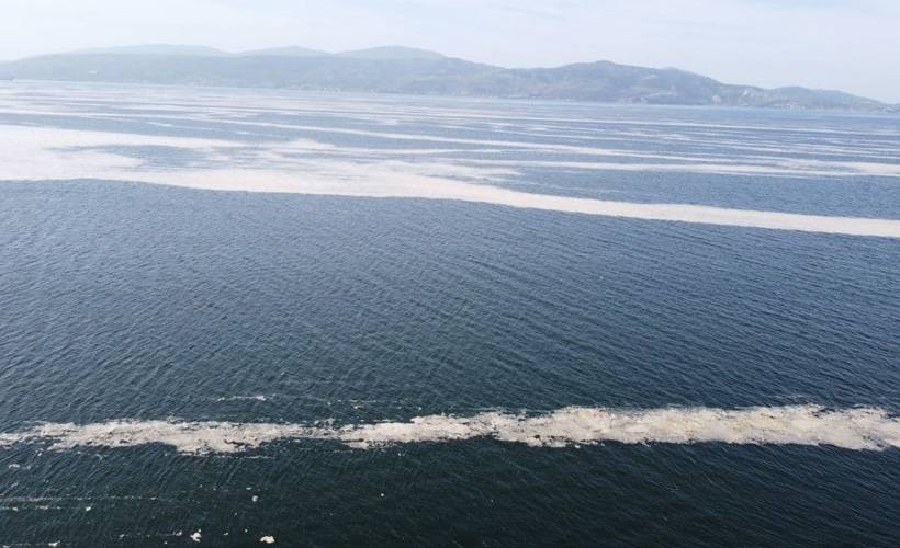 'Deniz salyası' giderek yayılıyor: Bandırma Körfezi'ni de kapladı