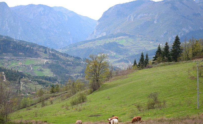 Doğal izolasyon; Şenpazar 'Saklı cennet'