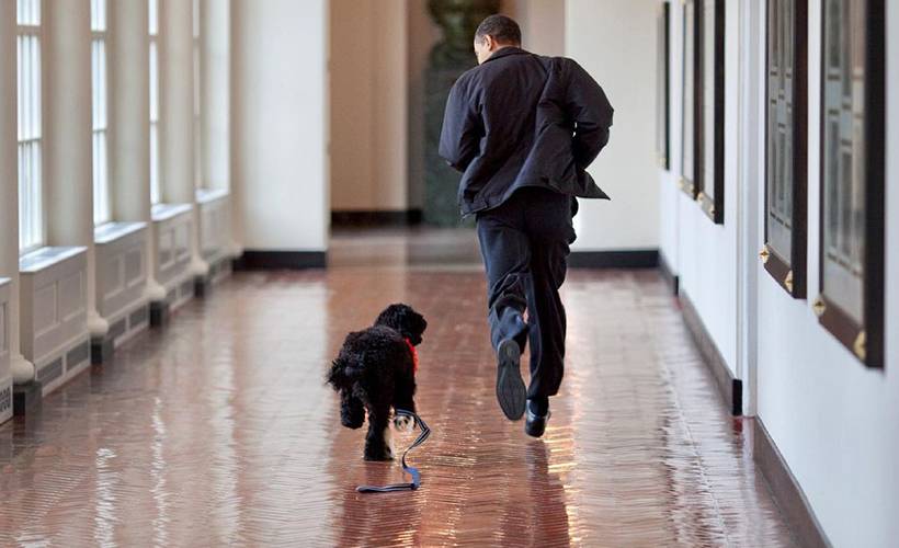 Obama yasta: 12 yıllık sadık dostunu kaybetti