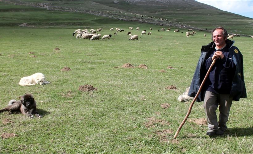 Bayburt'ta canlanan dağ köylerinden görüntüler