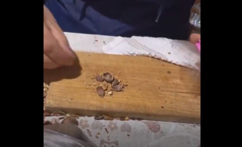 'Fıstık' gibi icat!