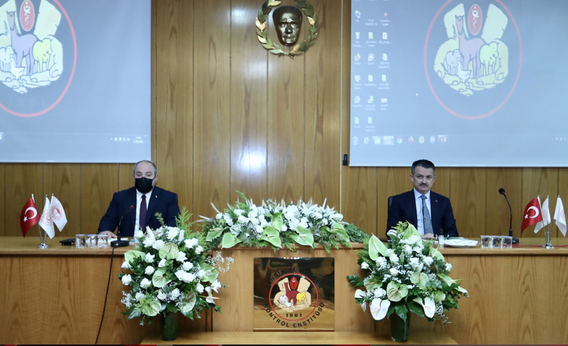 Bakan Varank’tan AA muhabirinin ''Süleyman Soylu'' sorusuna yanıt: Sen şov yapmak istemişsin