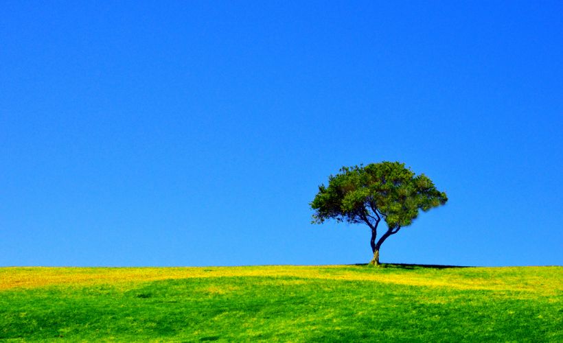 İbrahim Ethem’in gaipten duyduğu ses…