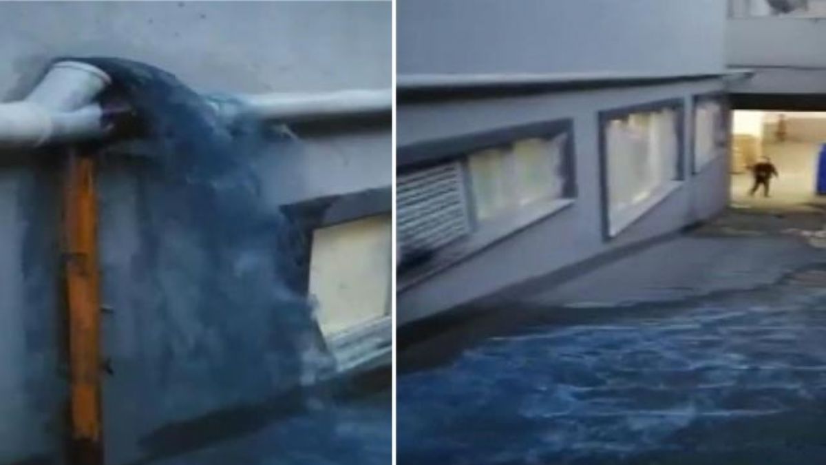 Esenyurt'ta ''mavi su'' tehlikesi; 'Sokak köpekleri içip ölüyor'