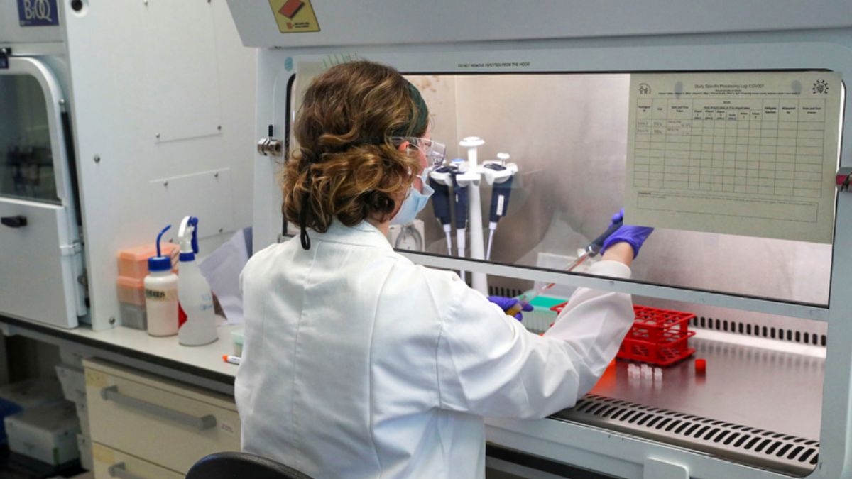 Bilim insanlarından çarpıcı rapor: Koronavirüsün doğal yolla gerçekleşmesi mümkün değil