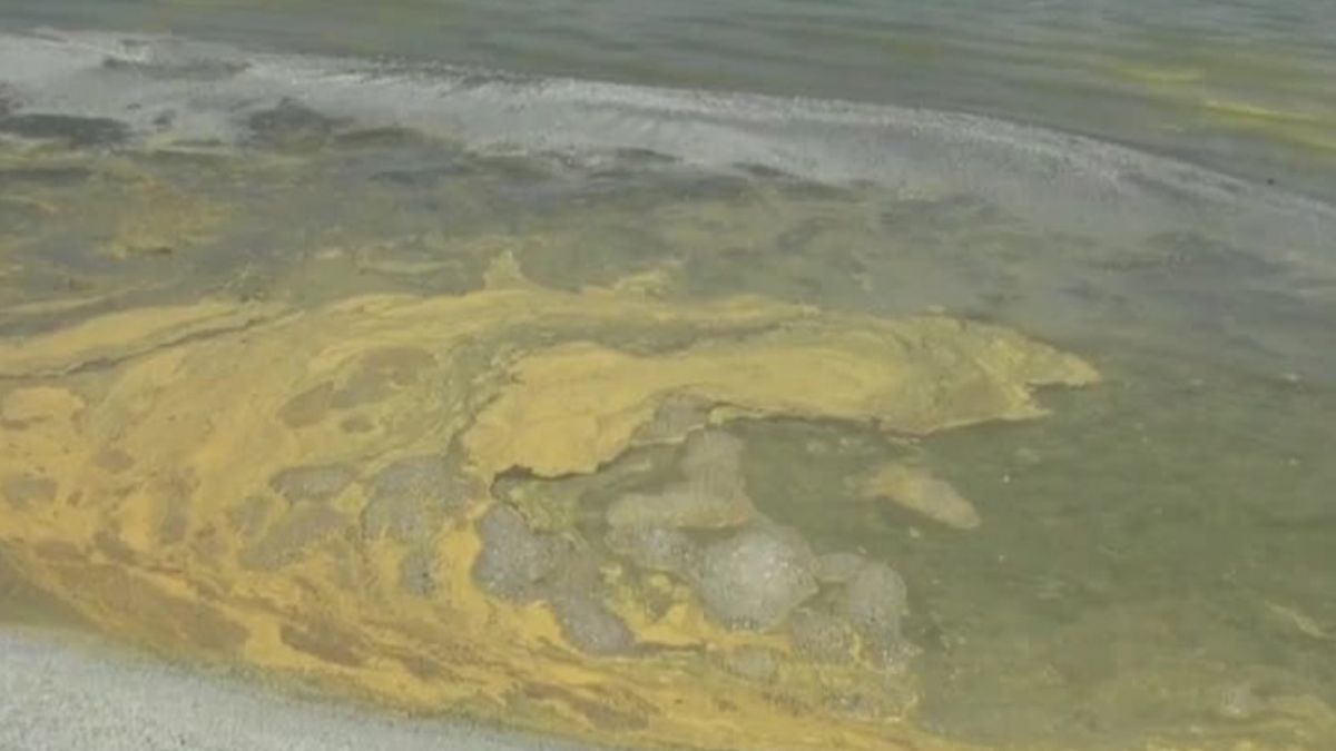 Salda Gölü'ndeki sarımtırak görüntünün sebebi ne? Vali açıkladı