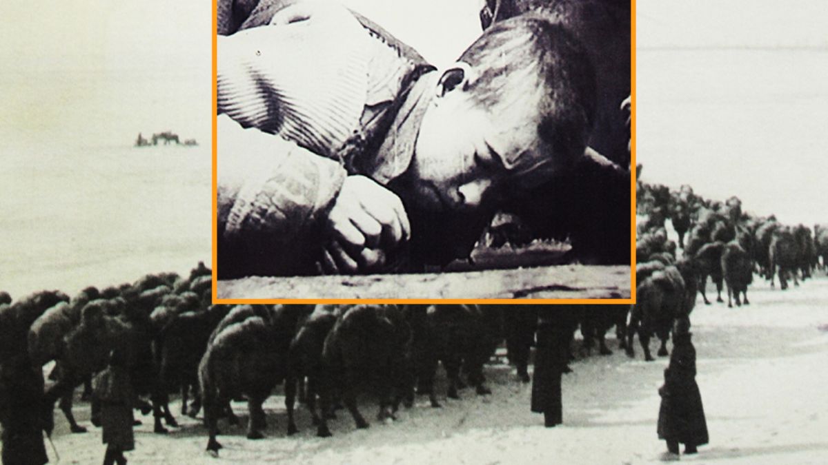 Sovyetlerin açlık politikası yüzünden 5 milyon Kazak öldü