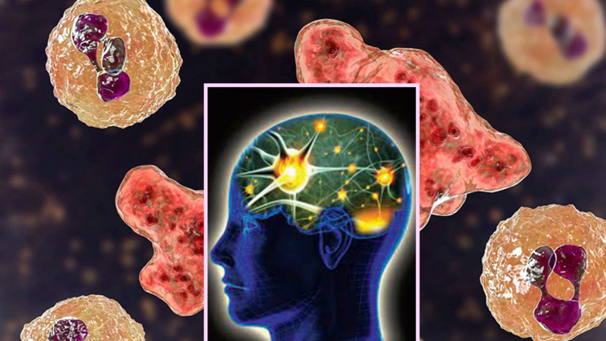 'Küresel ısınma beyin yiyen amiplerin sayısını artırabilir'