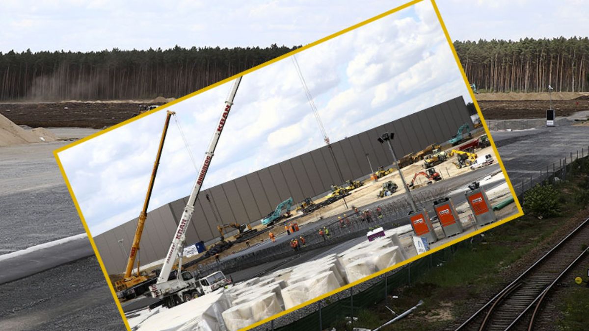 Almanya'da ormanlık alana inşa edilen Tesla'ın fabrikasına tepki