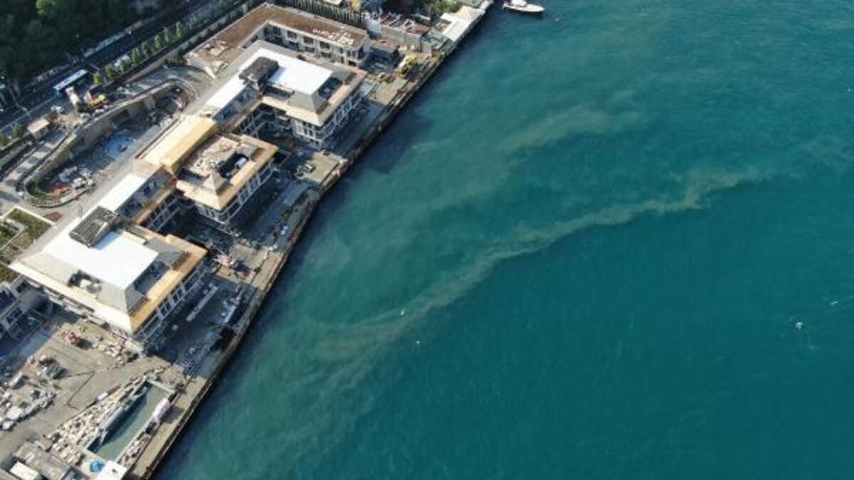 Doç. Dr. Balcı: Marmara denizi foseptik çukuru haline geldi