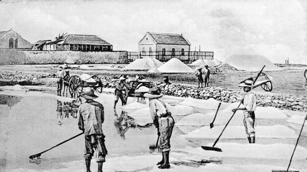 Para yerine tuz ister misiniz?