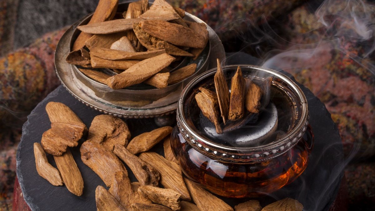 Udi hindi yağı korona virüse karşı korur mu? Udi hindi yağı fiyatı ne kadar?