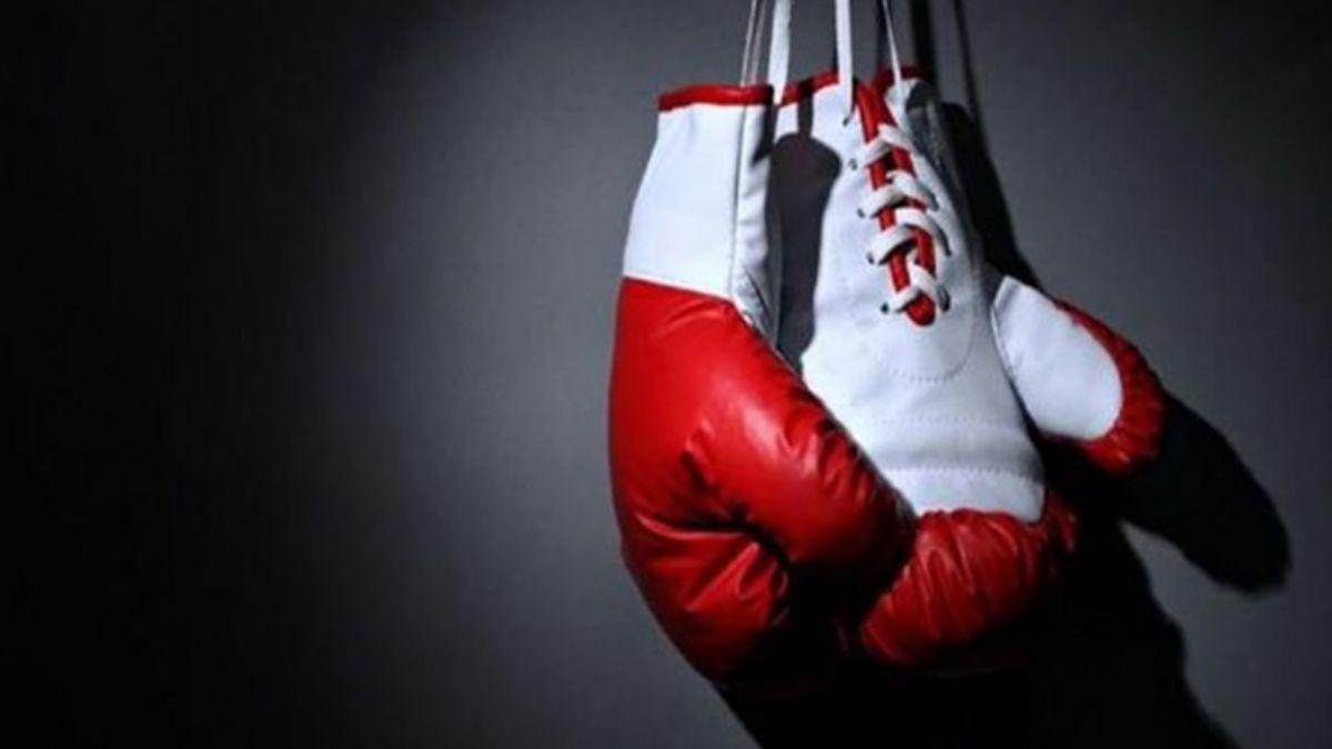 Türkiye'nin altın yumrukları