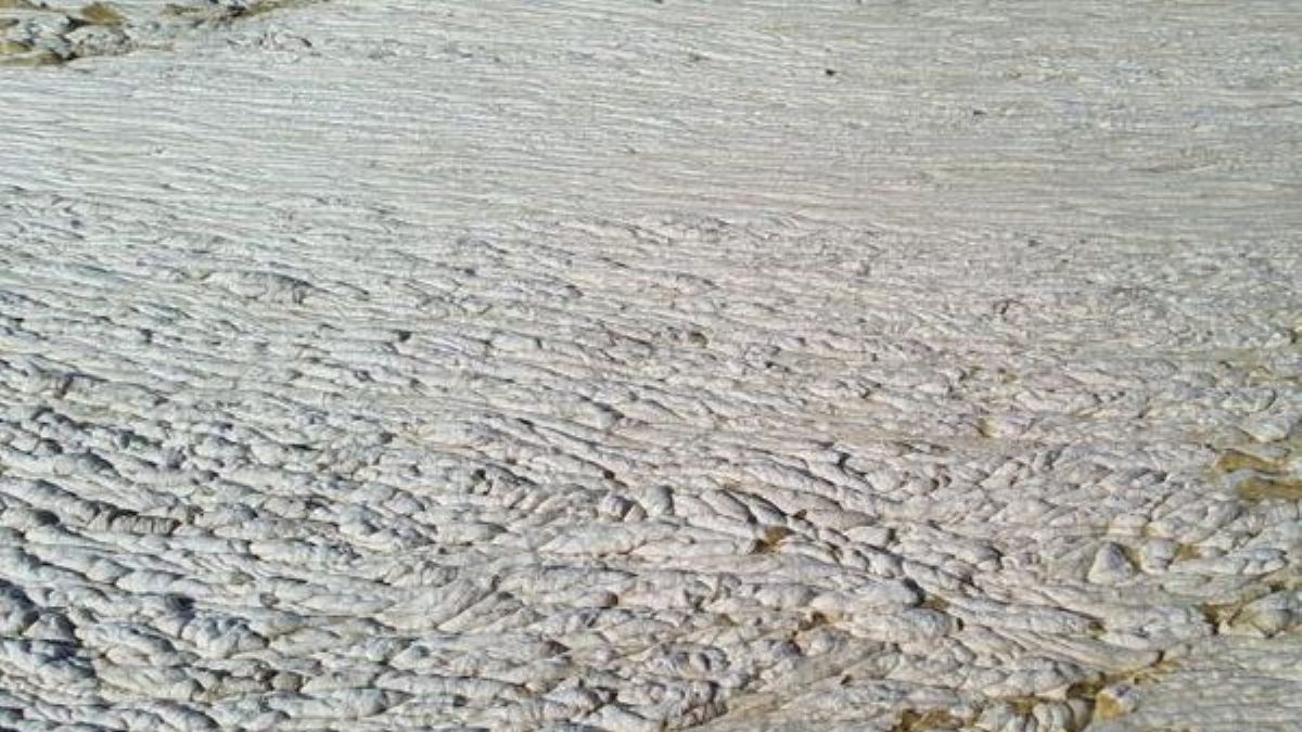 Tekneden çekilen görüntülerde Marmara'daki müsilaj yoğunluğu