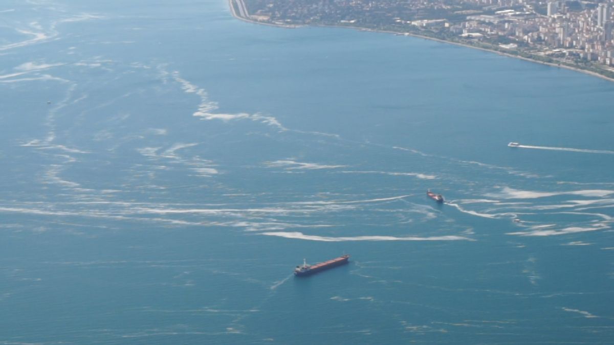 Marmara denizindeki müsilaj havadan görüntülendi