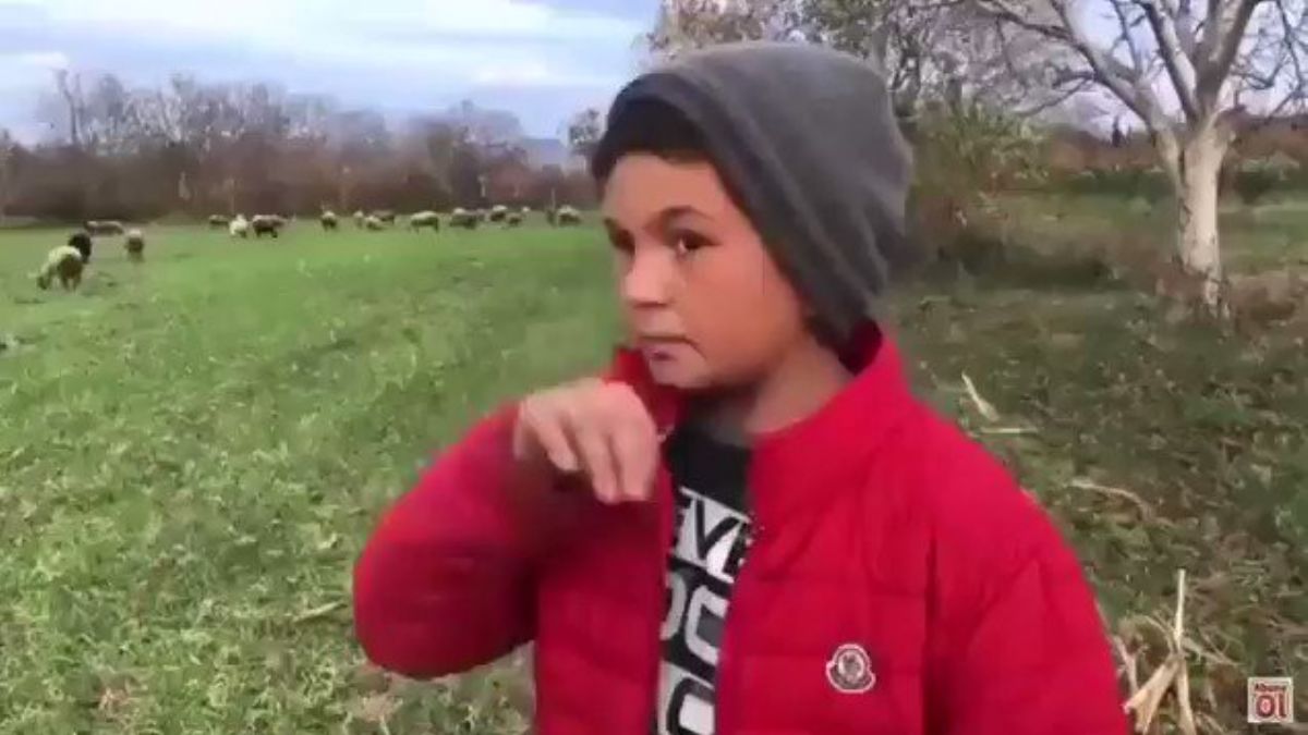 12 Yaşında 90 Koyuna Bakan Çocuk: Yemi Bu Kadar Pahalandıracak Ne Yapıyorsunuz?