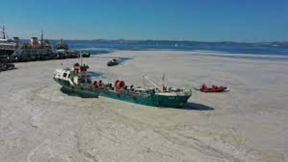 Yalova'da müsilaj temizliği