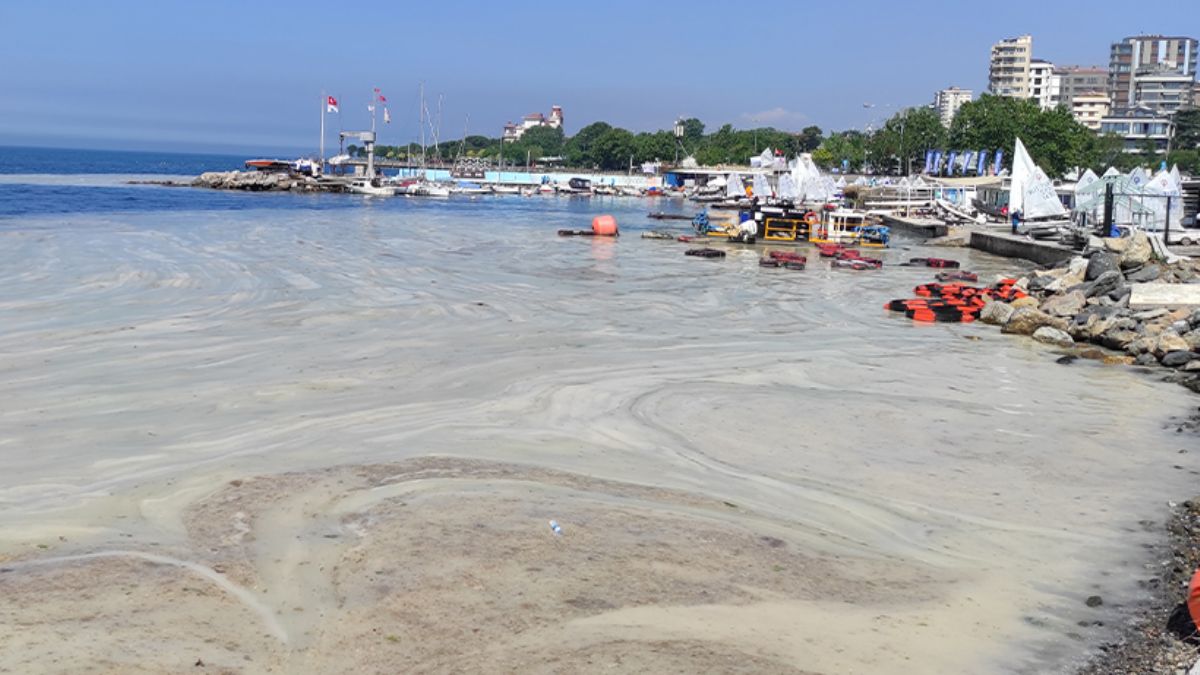 İstanbul'da müsilaj temizliği sürüyor