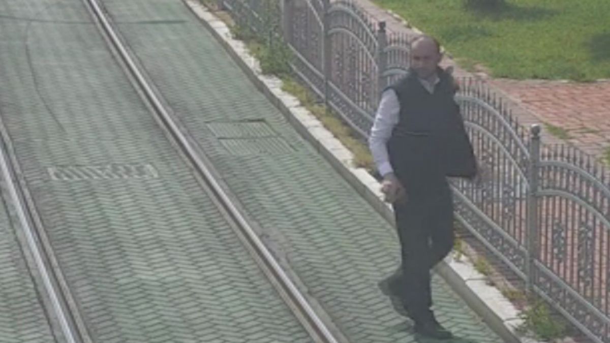 İçinizi ısıtacak görüntüler! Tramvayı durdurup kaplumbağanın yardımına koştu