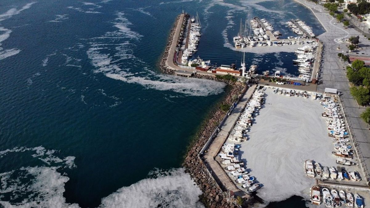 Çanakkale merkezinde kıyılarda müsilaj yoğunluğu oluştu