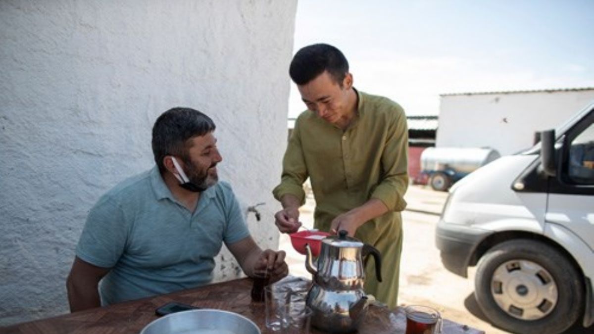 Anadolu'nun Afgan Çobanları