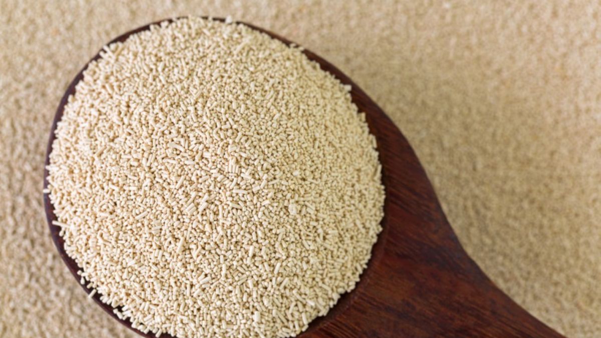 Kuru Maya ile Ekmek Nasıl Yapılır? Ekmek Tarifi