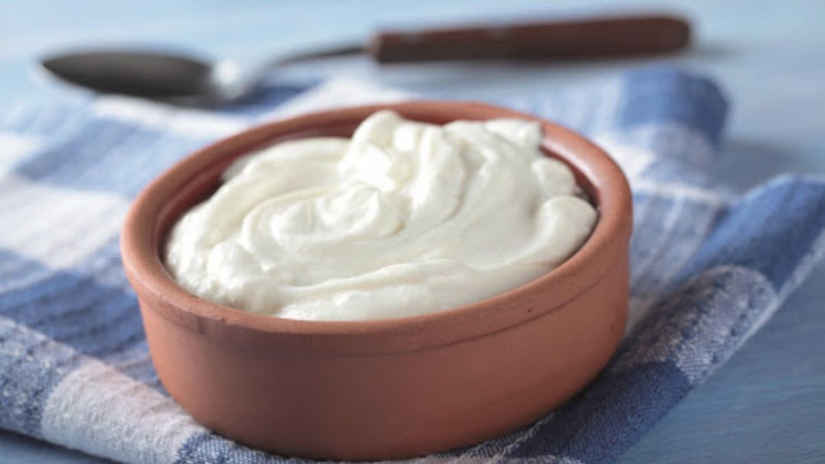 Evde Yoğurt Yapımı, Tarifi Nedir? Yoğurtlu Yemek Çeşitleri