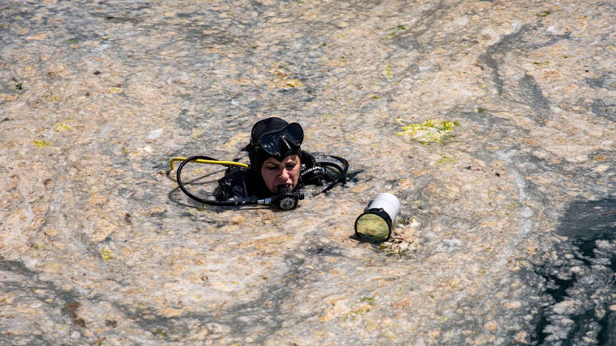 Marmara'da bu kez 'ölümcül gaz' korkusu