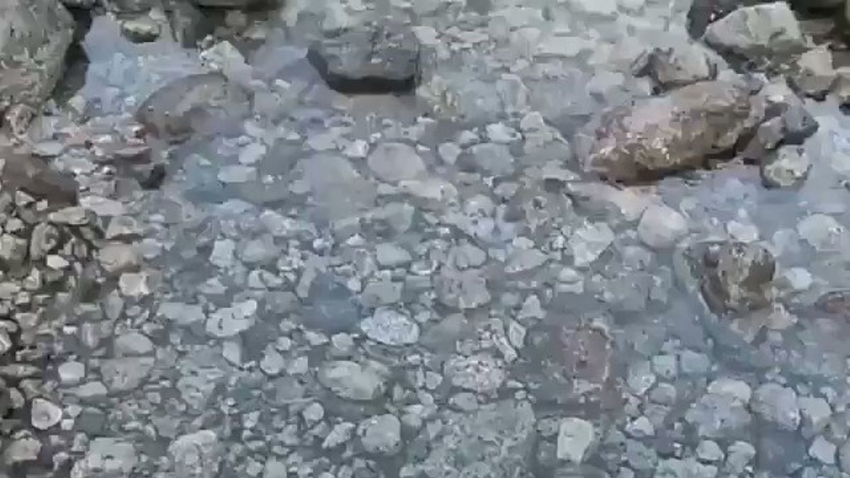 Sodalit UV ışığına maruz kaldığında bakın ne oluyor