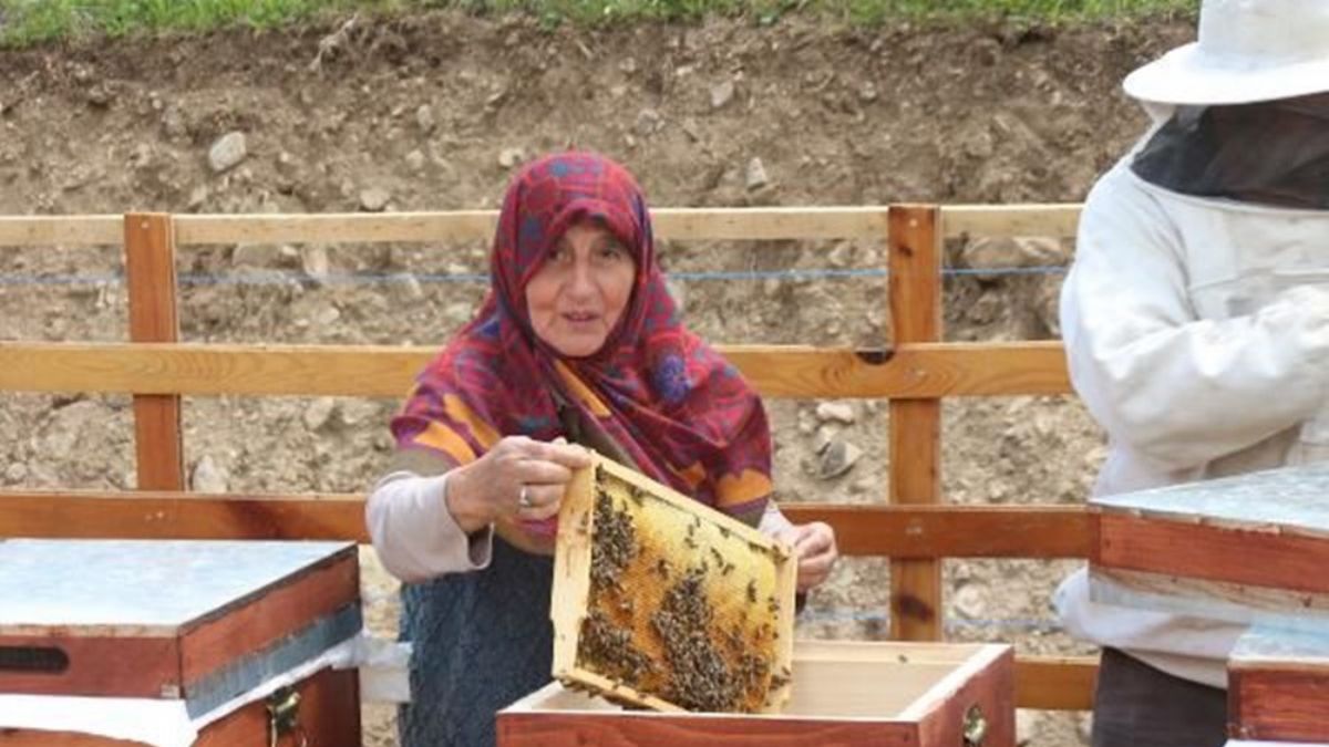 Anzer balında üretim sezonu açıldı